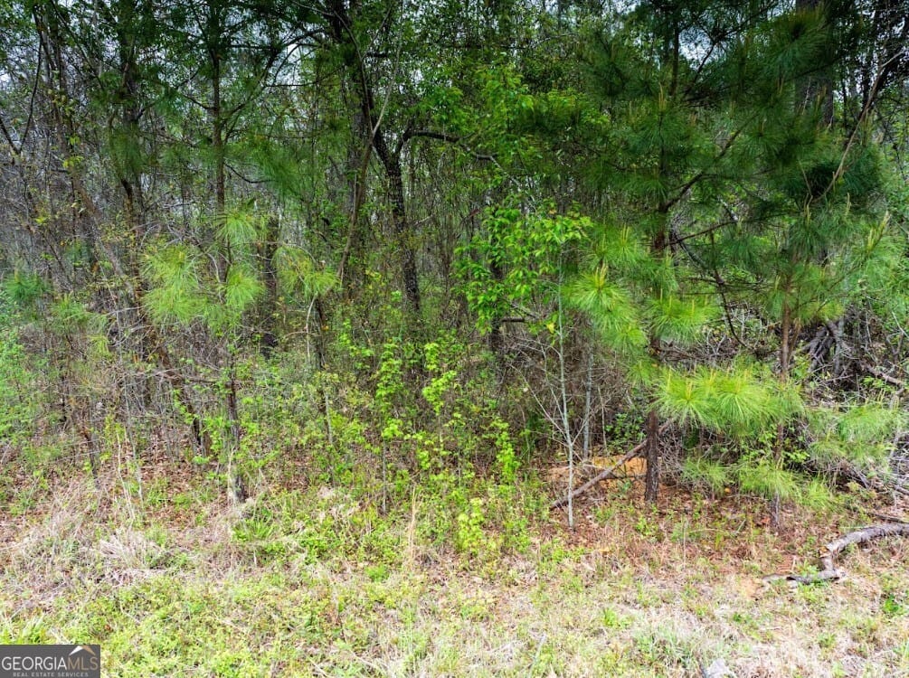 Morris, GA 39867