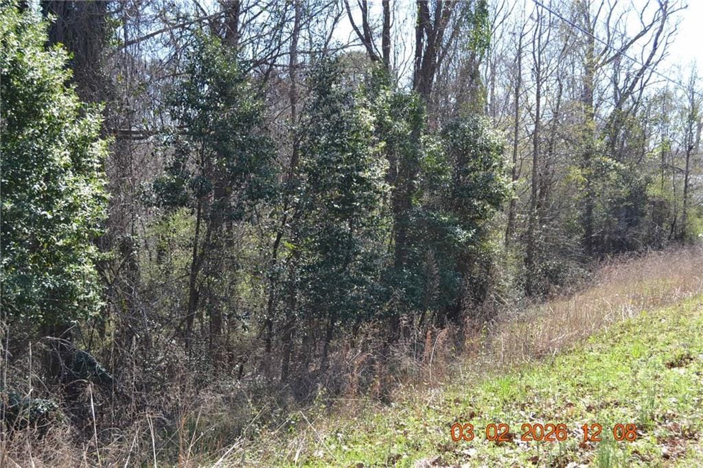 0 Wommack Road, Phenix City, AL, 36869 — Photo 3