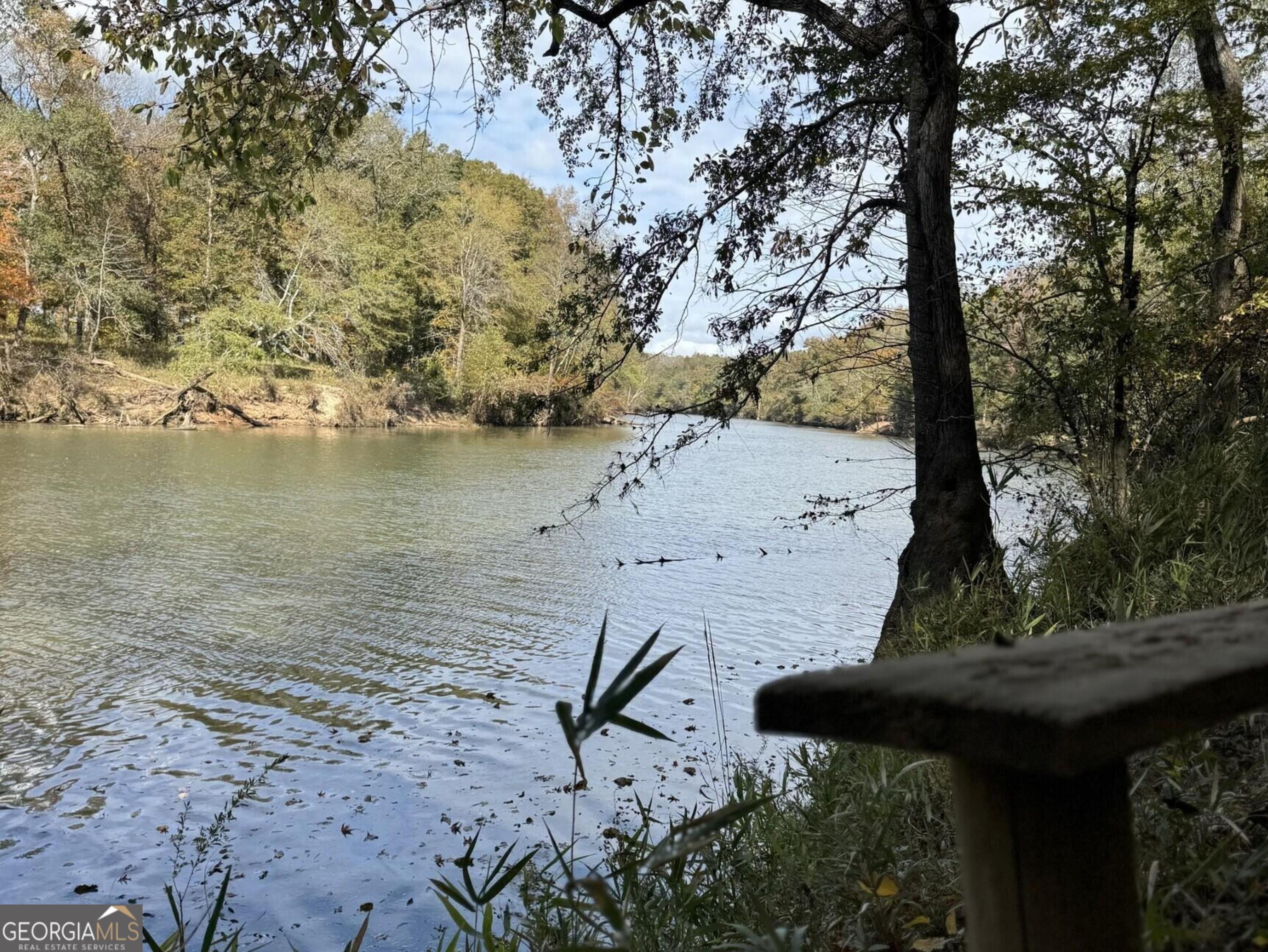 9.09 ACRE Flint River, Molena, GA, 30258