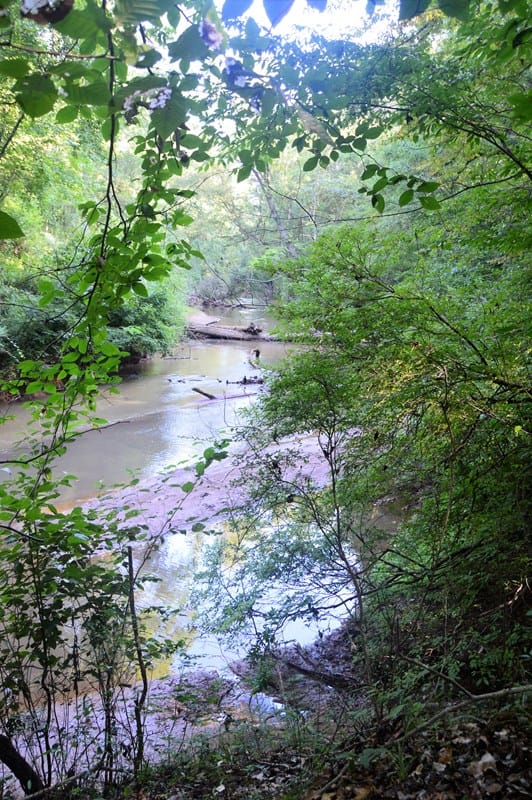 Lot 5 Kingsboro Road, Hamilton, GA, 31811