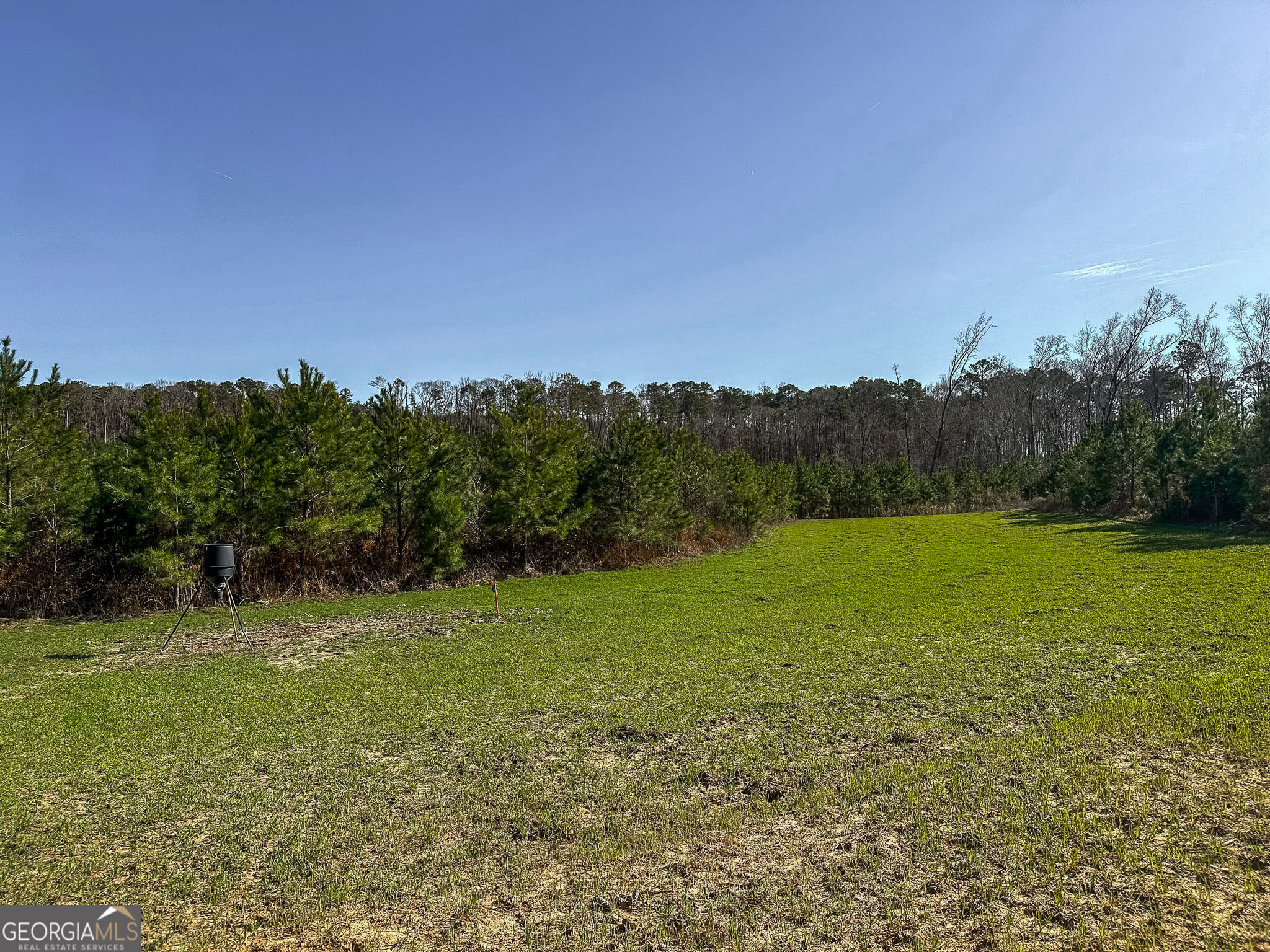 1298 Days, Morris, GA, 39867