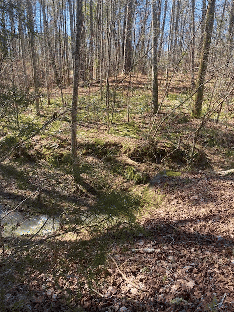 001 Leisure Circle, Pine Mountain, GA, 31822 — Photo 3