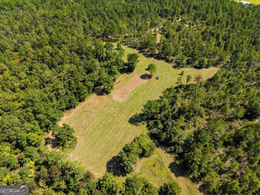 257 Carpenter Rd, Rupert, GA 31081