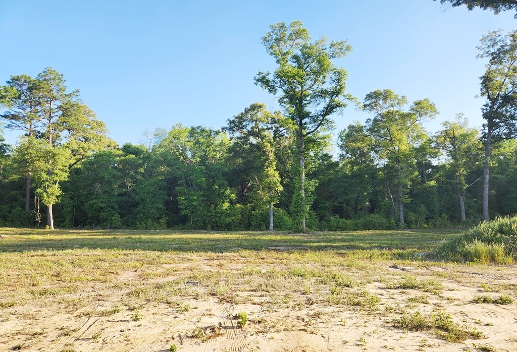 110 Sawtooth Drive, Leesburg, GA, 31763