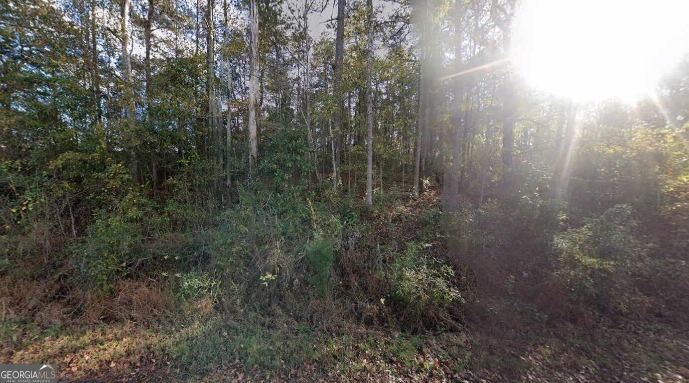246 Pine Hill Rd, LaGrange, GA 30241