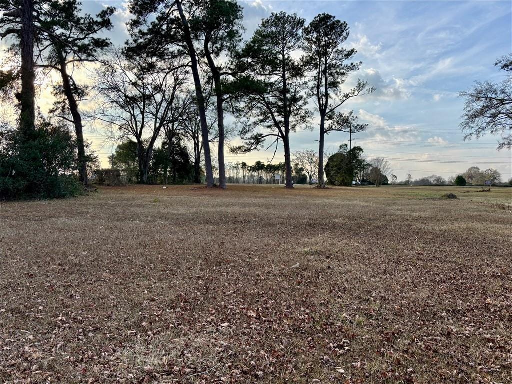 3251 South Eufaula Avenue, Eufaula, AL, 36027 — Photo 3