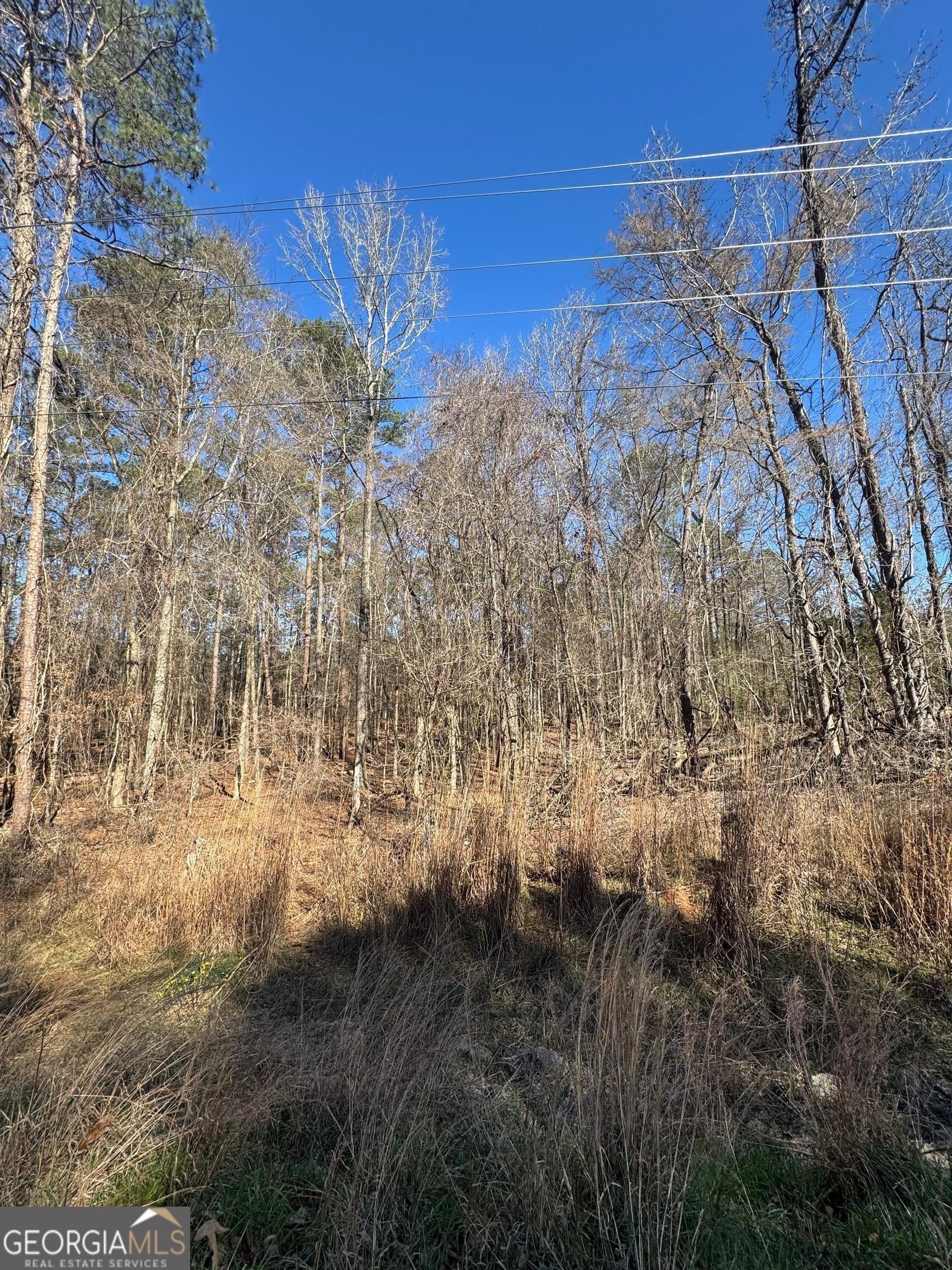 0 County Line, Upatoi, GA, 31829
