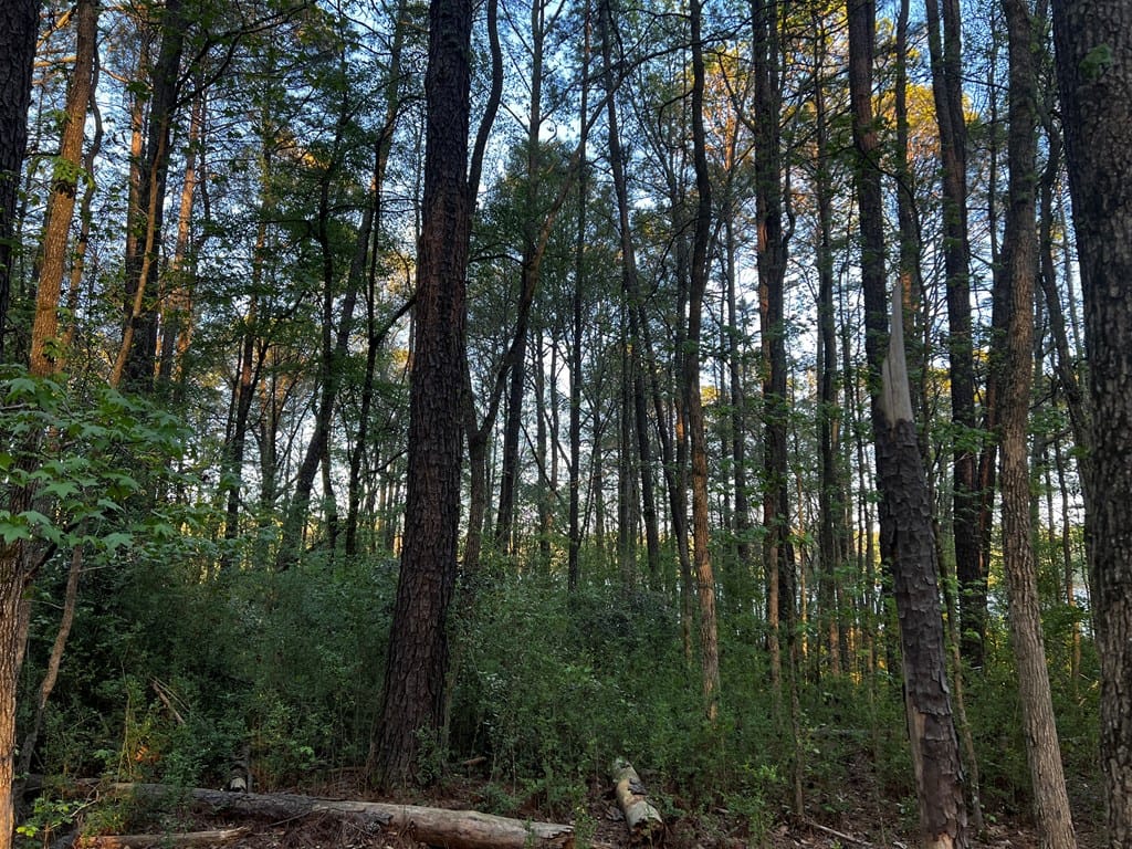 203 North View Pointe Drive, Lagrange, GA, 30241 — Photo 3