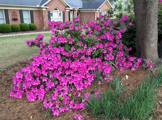 77 Bugle Brook Court, Midland, GA, 31820