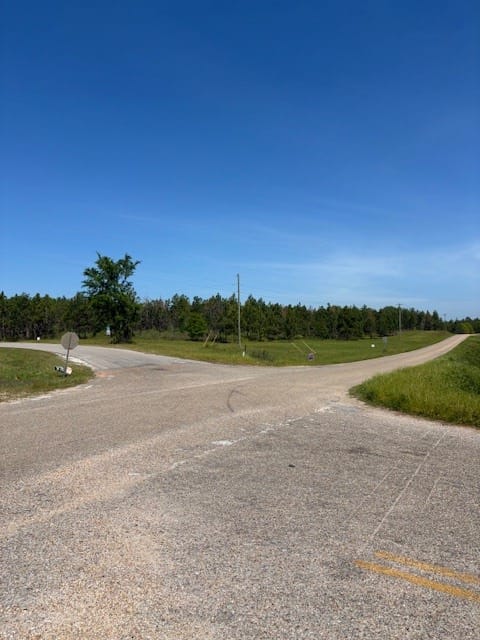 1 SOCIETY HILL, Auburn, AL, 36830