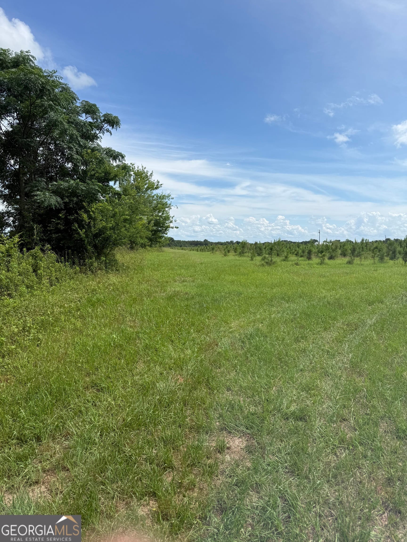 4276 County Line Rd, Lumpkin, GA 31815