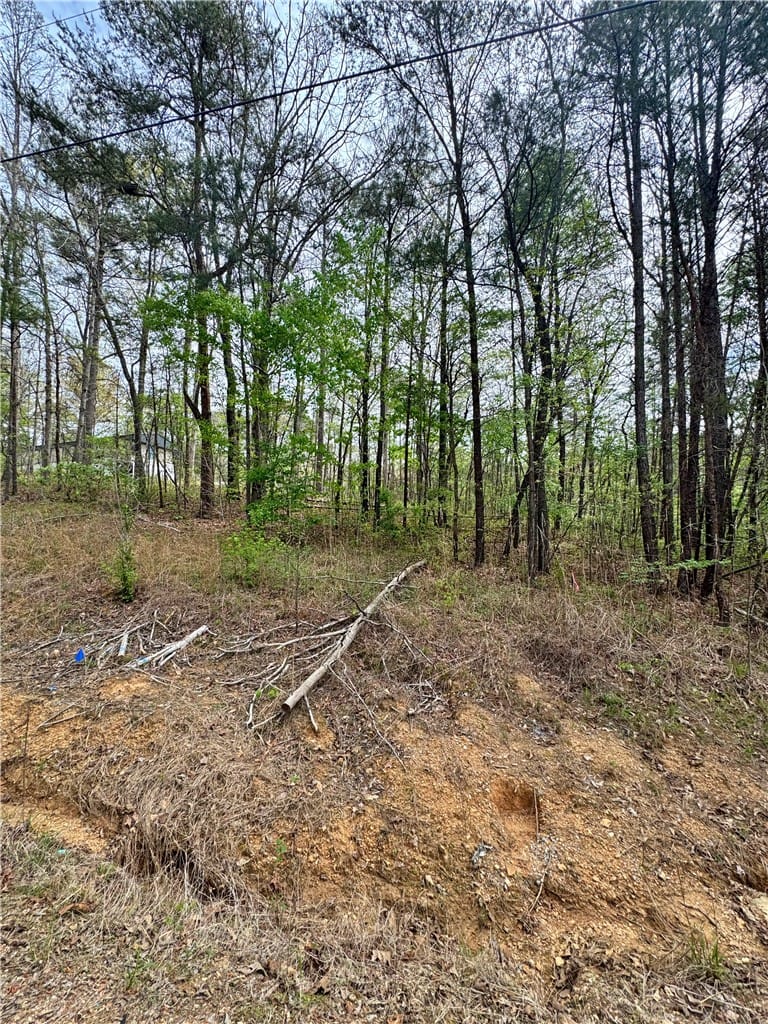 Lot 24 MARSHALL, McCalla, AL, 35111 — Photo 3