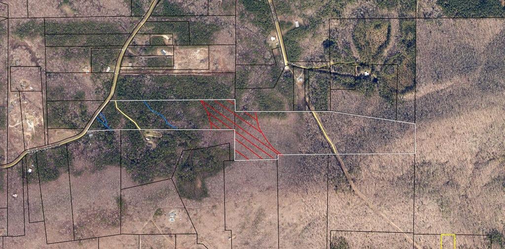 0 Morgan Copeland Road, Hamilton, GA, 31811