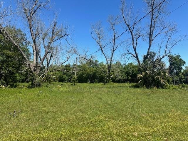 000 4th Street, Donalsonville, GA, 39845 — Photo 2