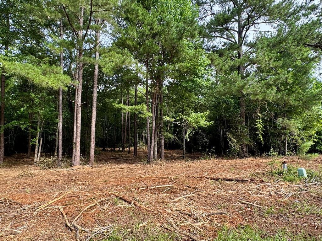0 Willow Lake Drive #Lot 414, Leesburg, GA, 31763