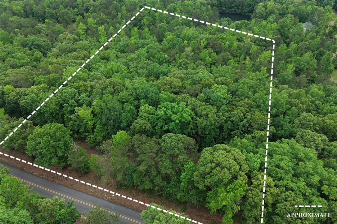 0 Lee Road 155, Opelika, AL 36804, USA, This aerial view showcases a verdant lot, offering
