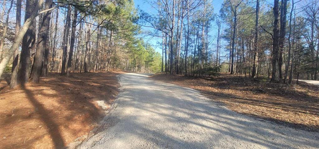 LOT 12 Mountain Shadows Road, Hamilton, GA, 31811