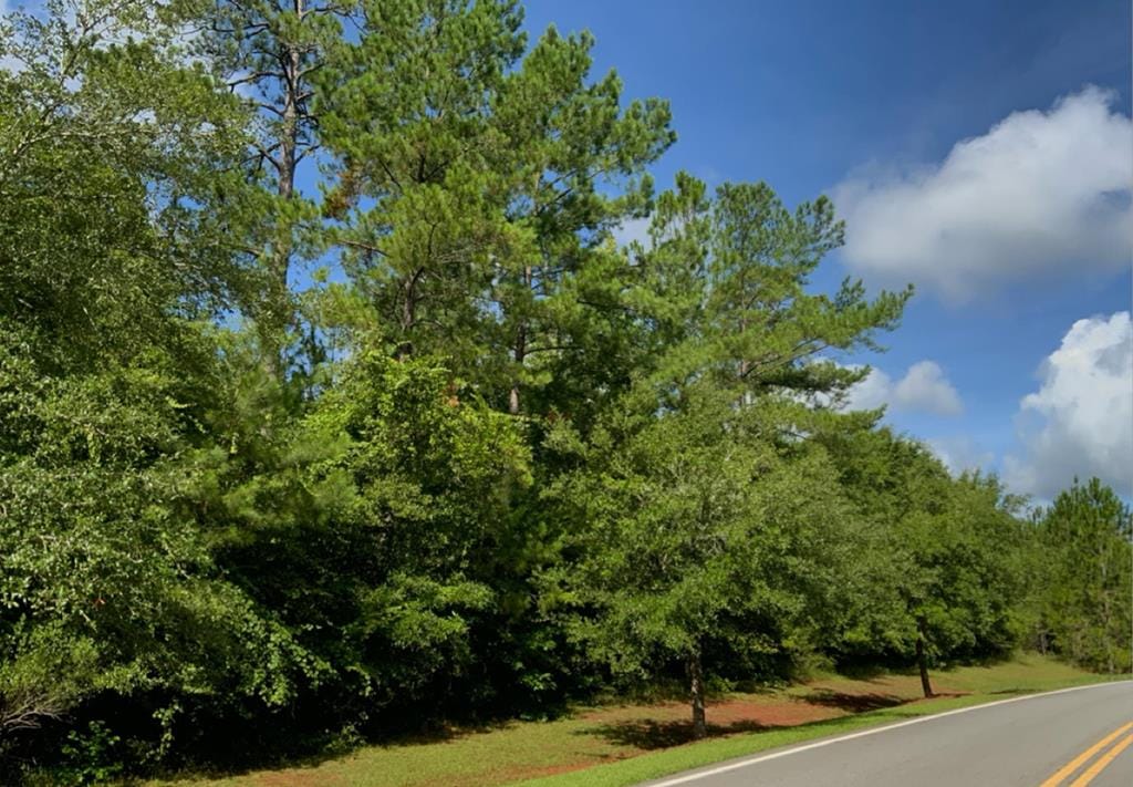 5500 Ironwood Court, Albany, GA, 31721