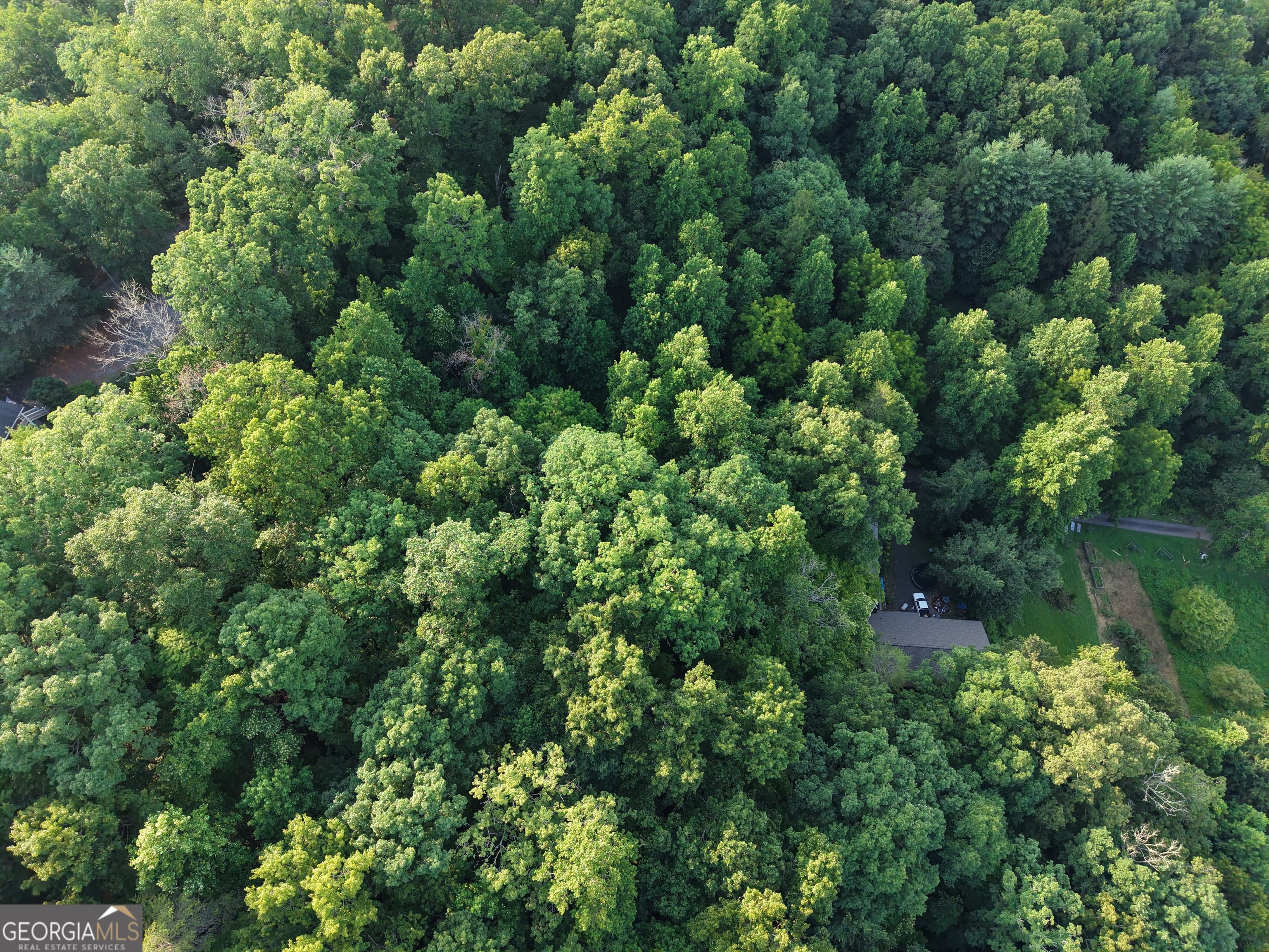 14 Kilpatrick Point Terrace, Hayesville, NC 28904