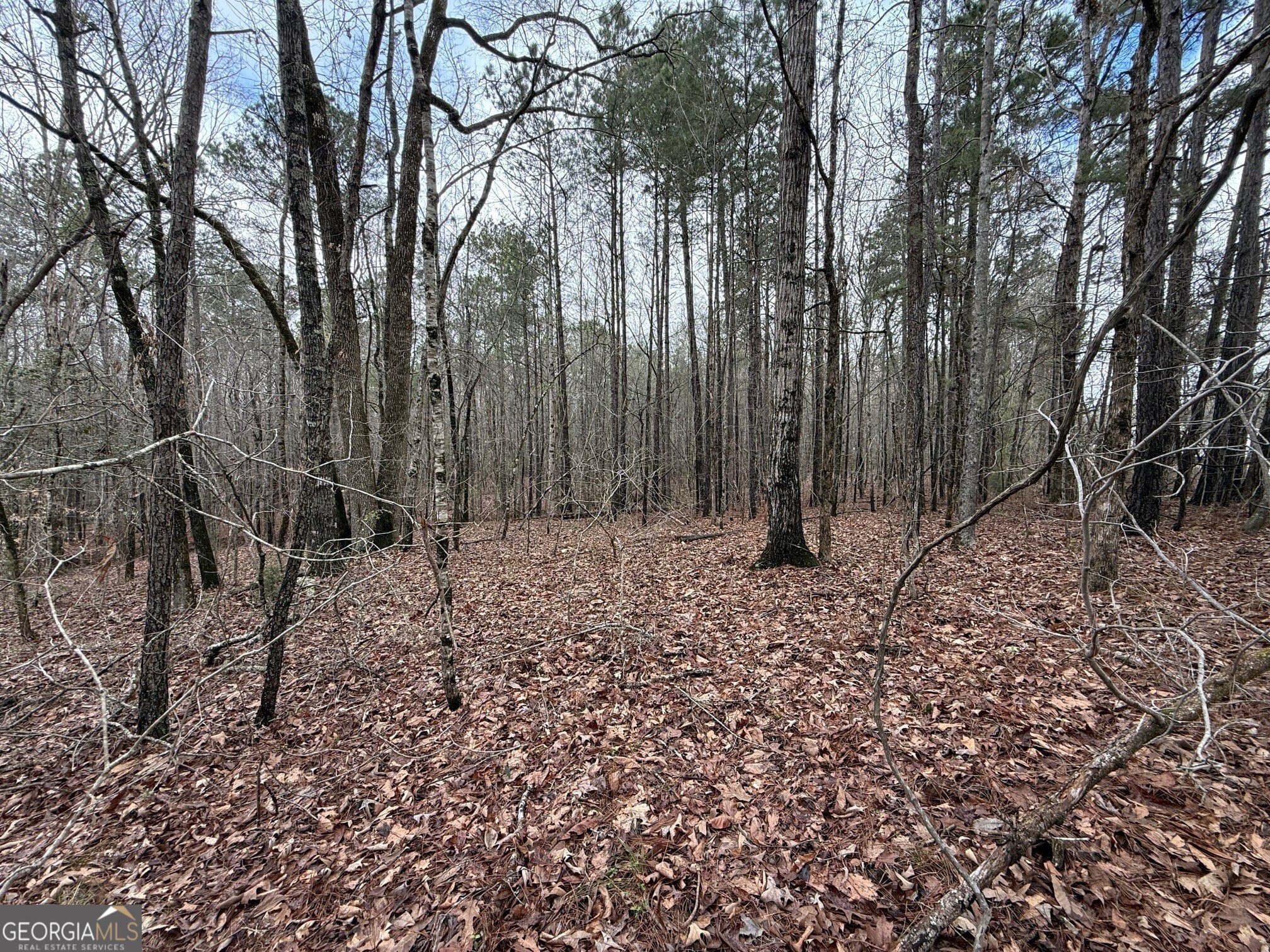 0 Cheryl St, Luthersville, GA 30251