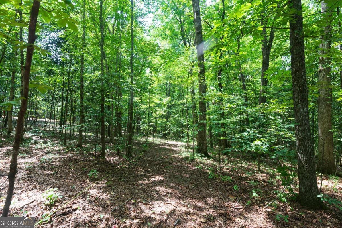 0 Roosevelt HWY - 20.58 Acres, Warm Springs, GA, 31830