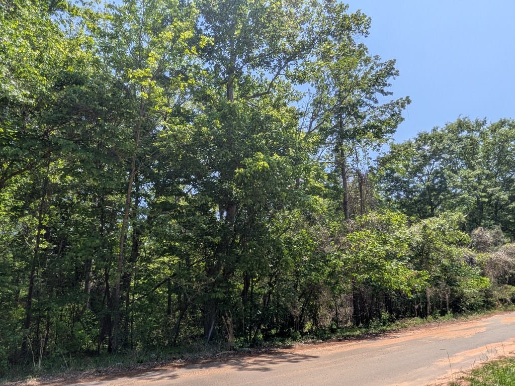 0 Dorton Creek Drive, Manchester, GA, 31816