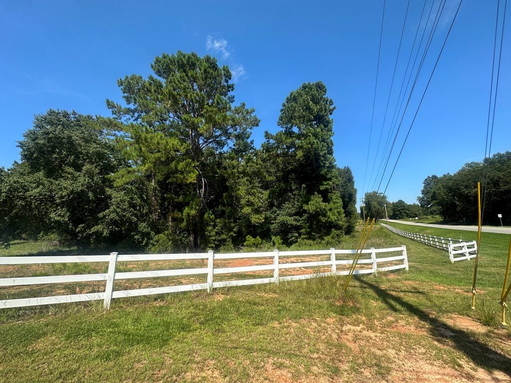 HWY 82 Oakland Rd, Leesburg, GA, 31763 — Photo 3
