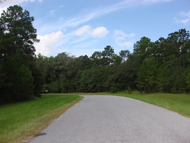 25 Woodlake Court, Leesburg, GA, 31763 — Photo 2