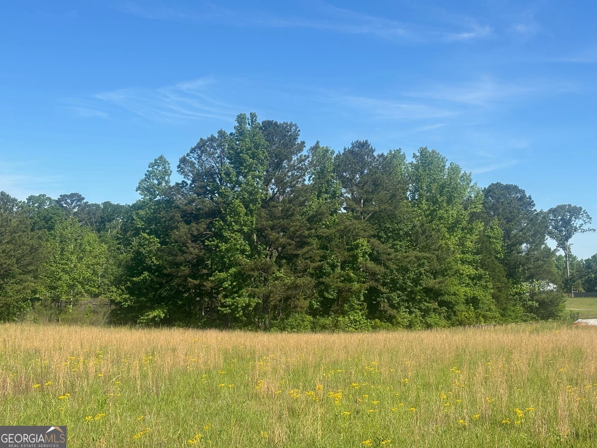 89 Davidson Rd, Molena, GA 30258
