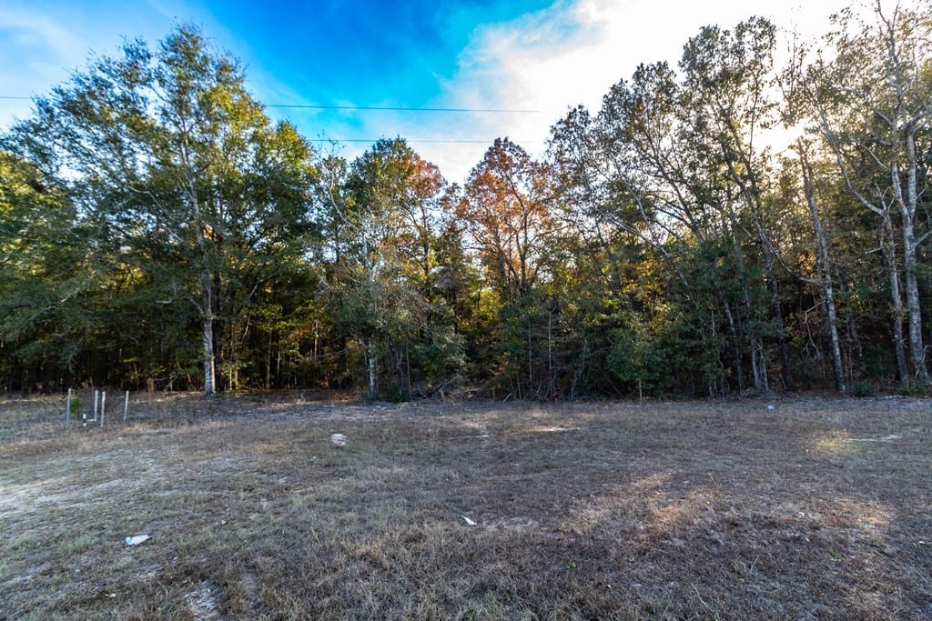 0 Highway 0026, Cusseta, GA, 31805
