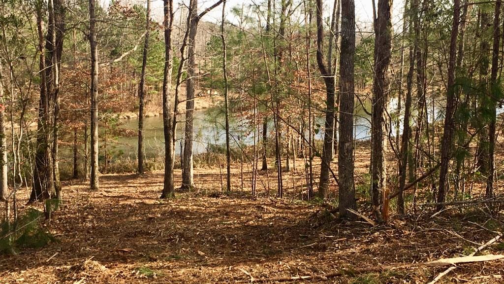 90 Bransford Lane, Ellerslie, GA, 31807
