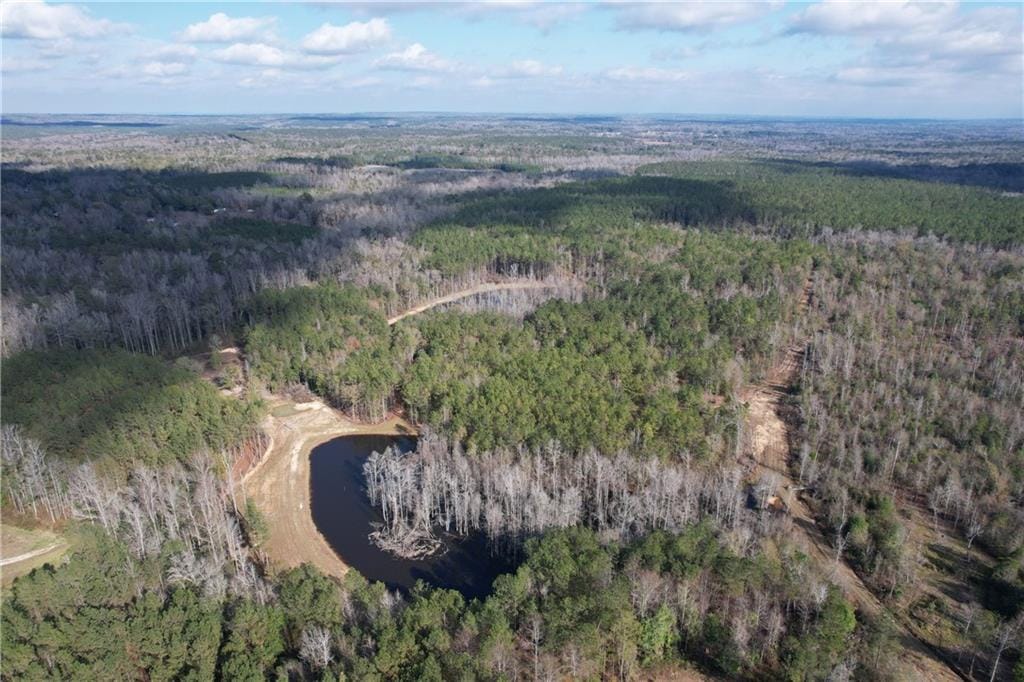 0 Al Hwy 169, Salem, AL, 36874
