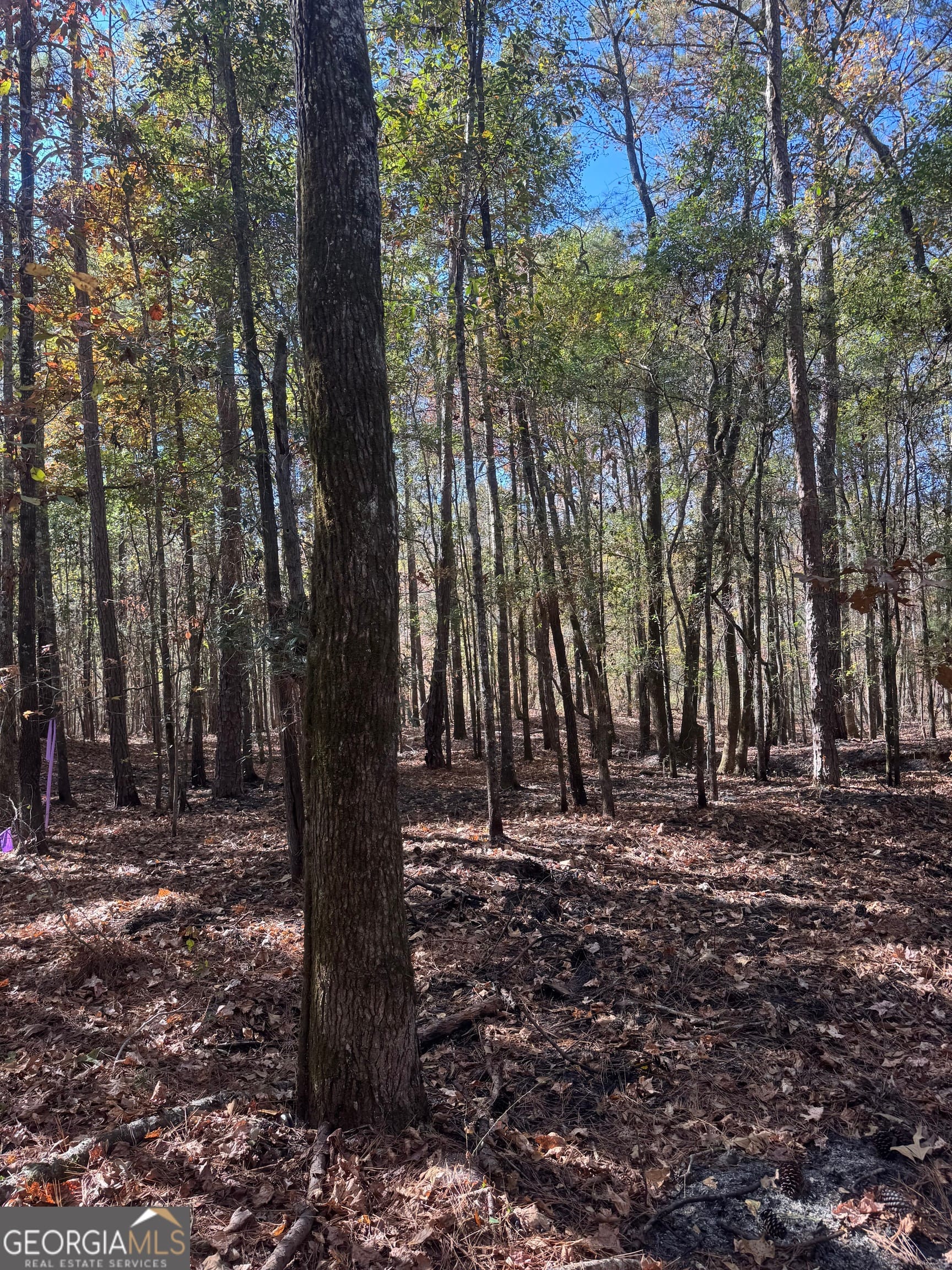 157 West Drummond Road, West Point, GA, 31833
