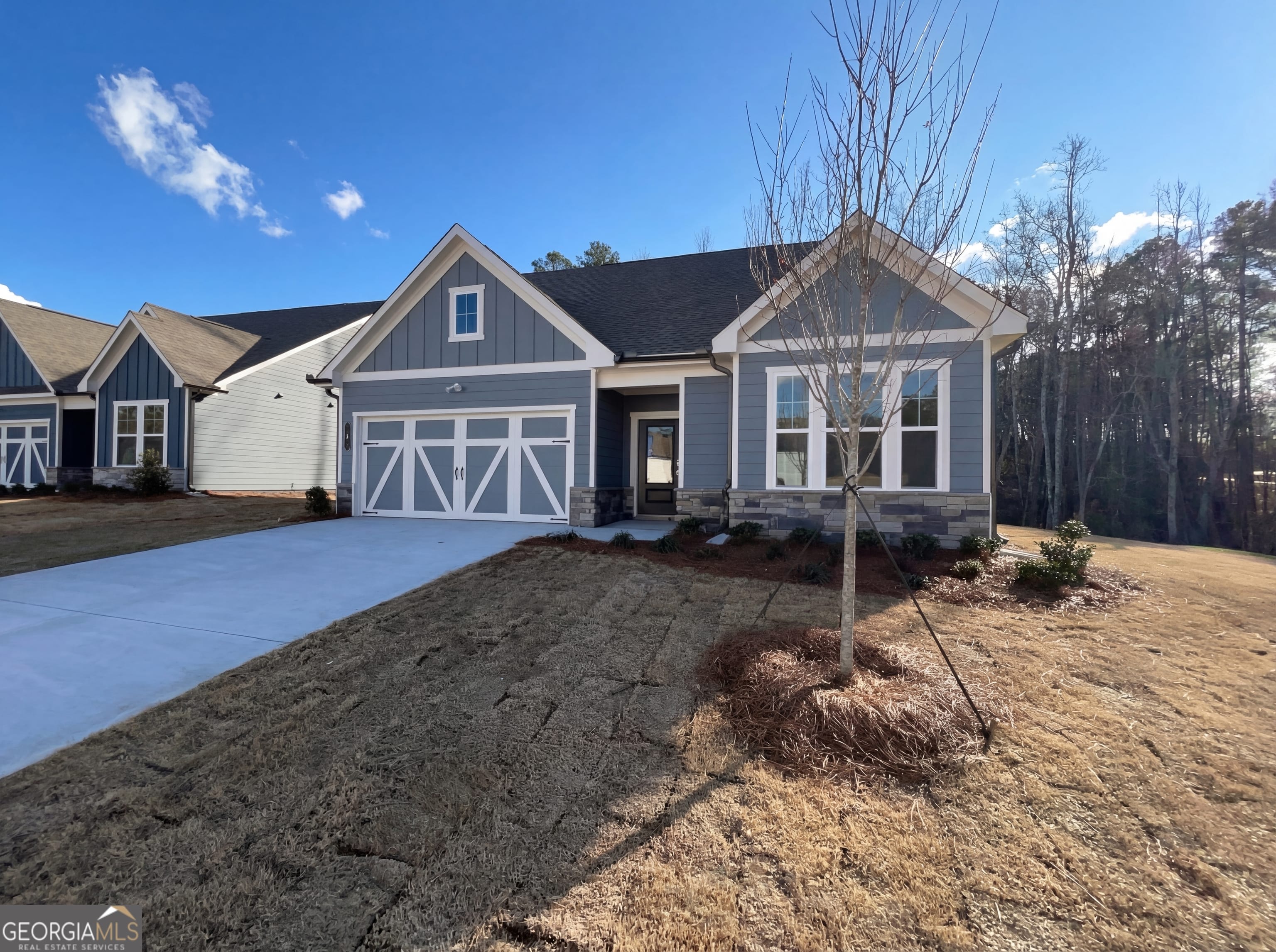 4 Mayhaw, Sharpsburg, GA, 30277