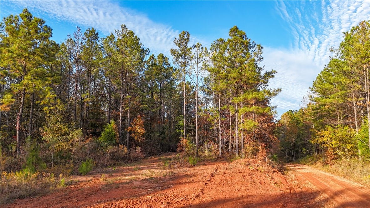 0 COUNTY ROAD 95, Lafayette, AL, 36862