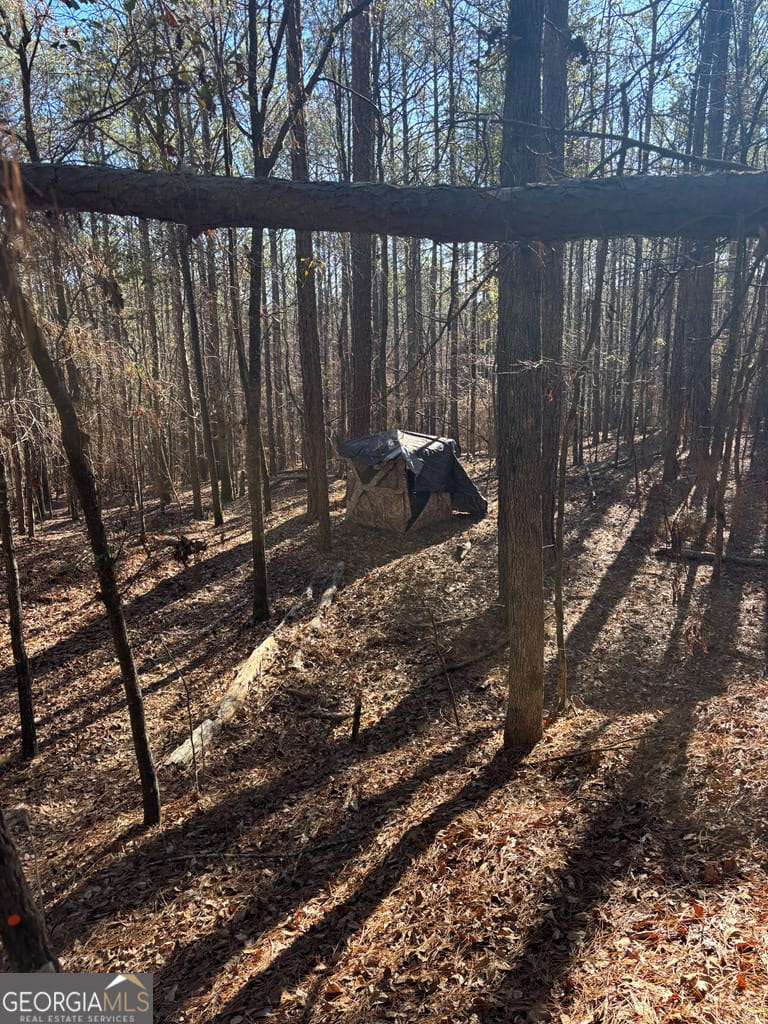 0 Geneva, Talbotton, GA, 31827