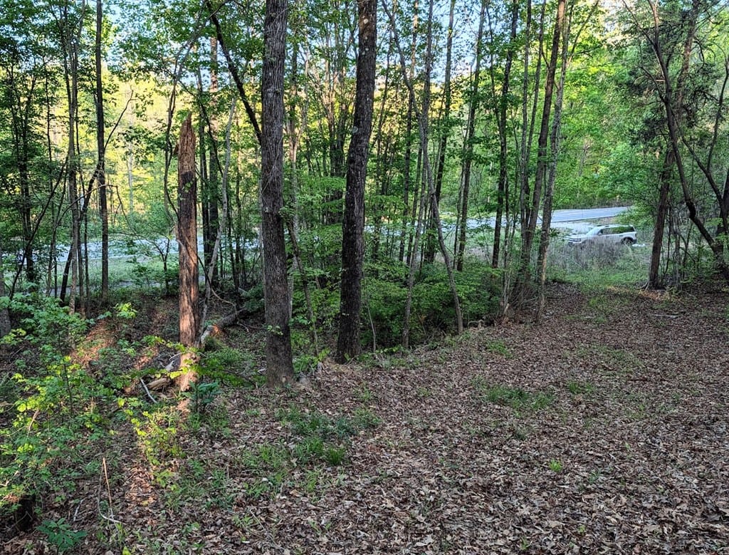 0 Ga Highway 0116, Hamilton, GA, 31811 — Photo 3