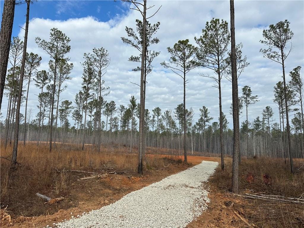 Lot A2 Lee Road 278, Salem, AL, 36874