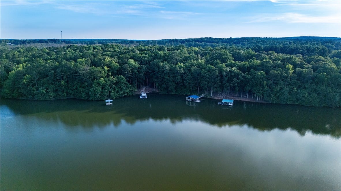 1038 DOGWOOD, FIVE POINTS, AL, 36855 — Photo 2