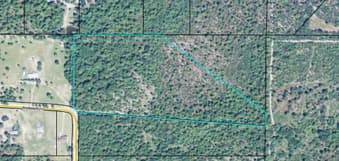 000 Bridle Path Lane, Box Springs, GA, 31801