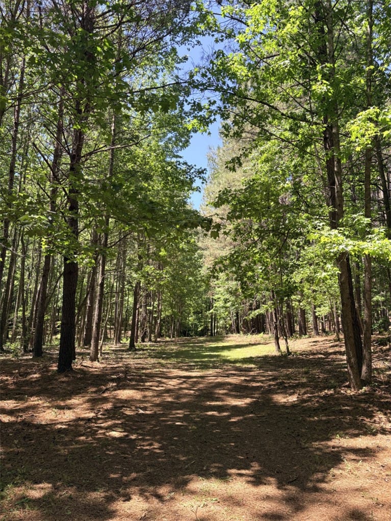 4602 Pebble Shore Dr, Opelika, AL 36804, USA, A tranquil pathway through verdant woods offers a
