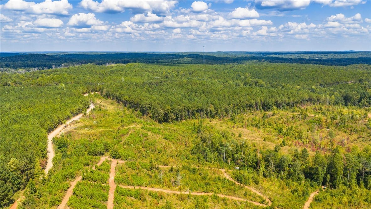 51 +/- ACRES MADWIND, Jacksons Gap, AL, 36861 — Photo 2