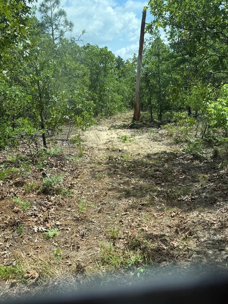 Bridle Path Ln, Georgia 31801