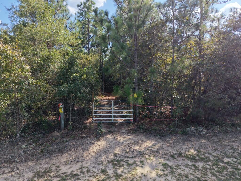 0 (6.17 Acres) Pineknot Road, Box Springs, GA, 31801
