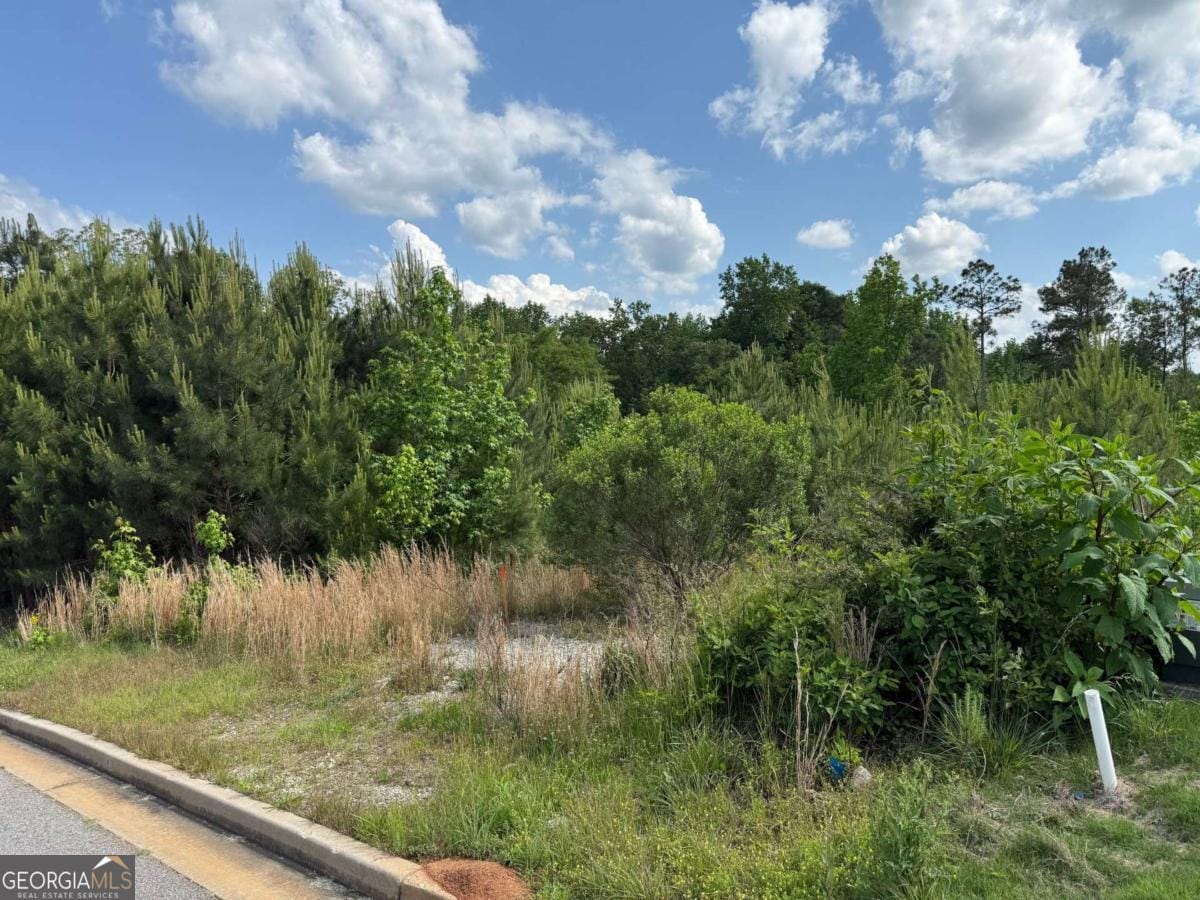 40 Arbor Springs Pkwy, Newnan, GA 30265, USA
