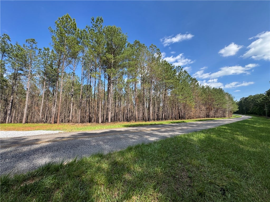 0 BARRON'S BRIDGE, Dadeville, AL, 36853