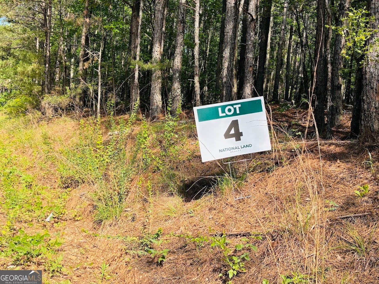 0 4th Street #lot 4, Ashland, AL, 36251