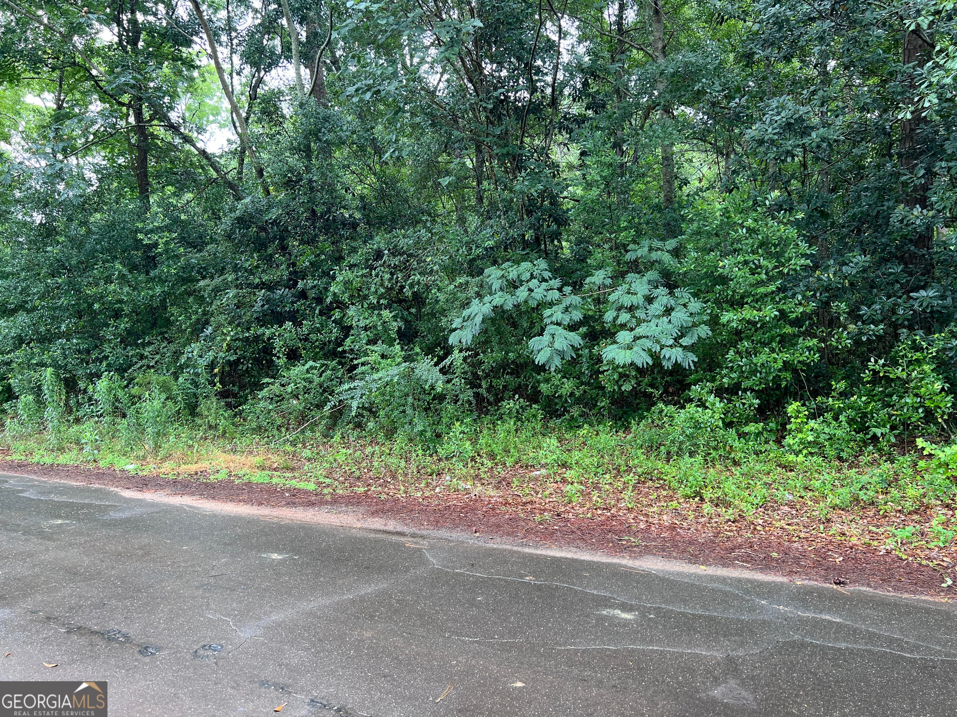 0 Harmony Street, Richland, GA, 31825