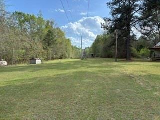 125 Wildman Bottom Road, Fort Mitchell, AL, 36856 — Photo 3