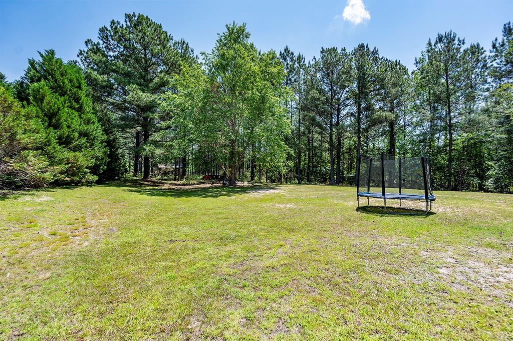 787 Flowing Well Road, Leesburg, GA, 31763 — Photo 2